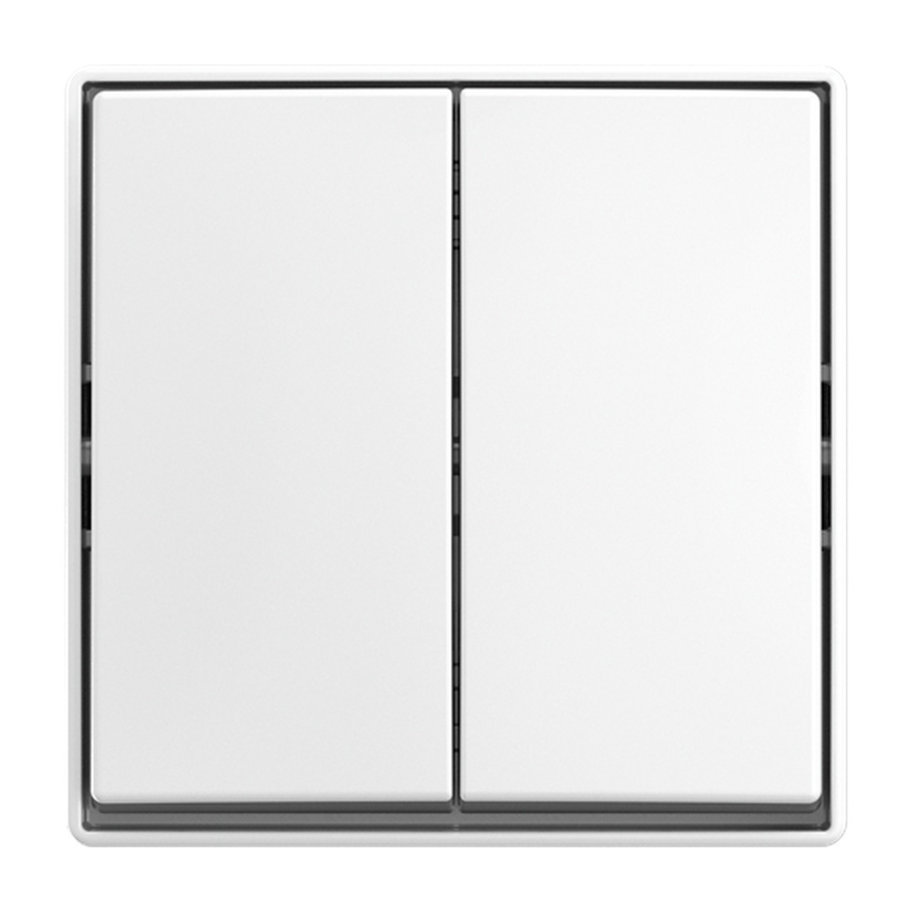 Busch-Jäger Wippschalter 2601/5 J-524 Nr. 2TKA00005523