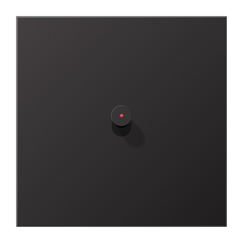 Jung Abdeckung m. Kipphebel AL12-0KODK01