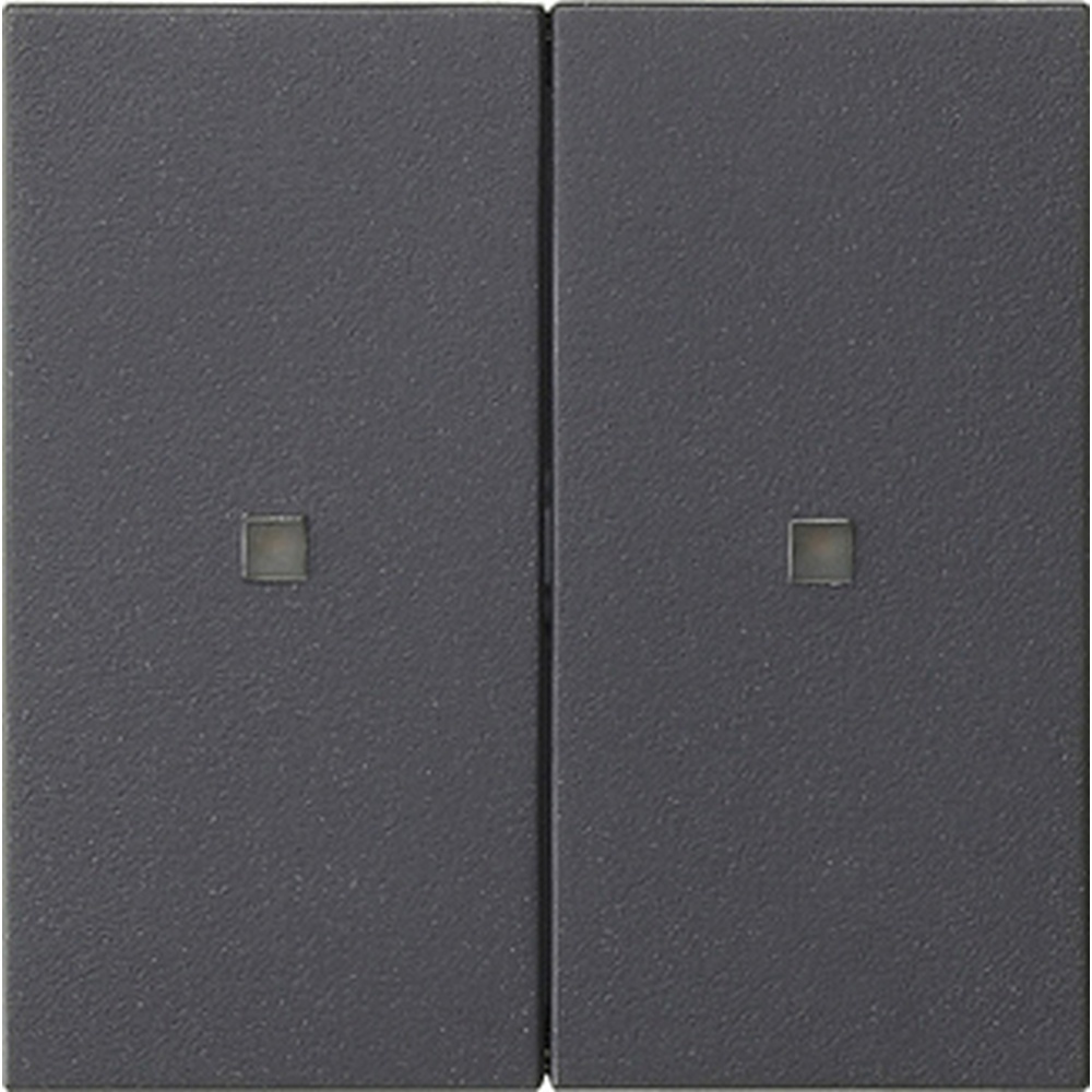 Gira Wippe 2fach 536928