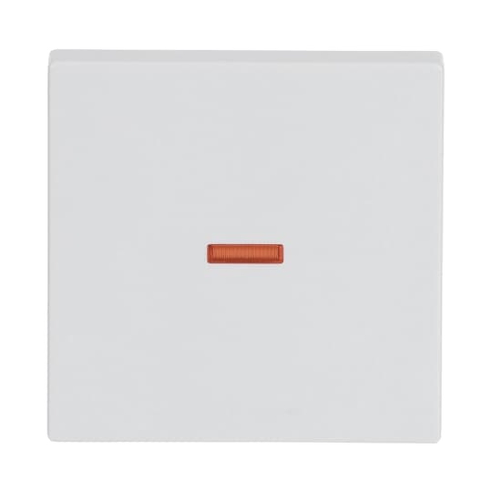 Busch-Jaeger Wippe 1789-84 Nr. 2CKA001751A2814