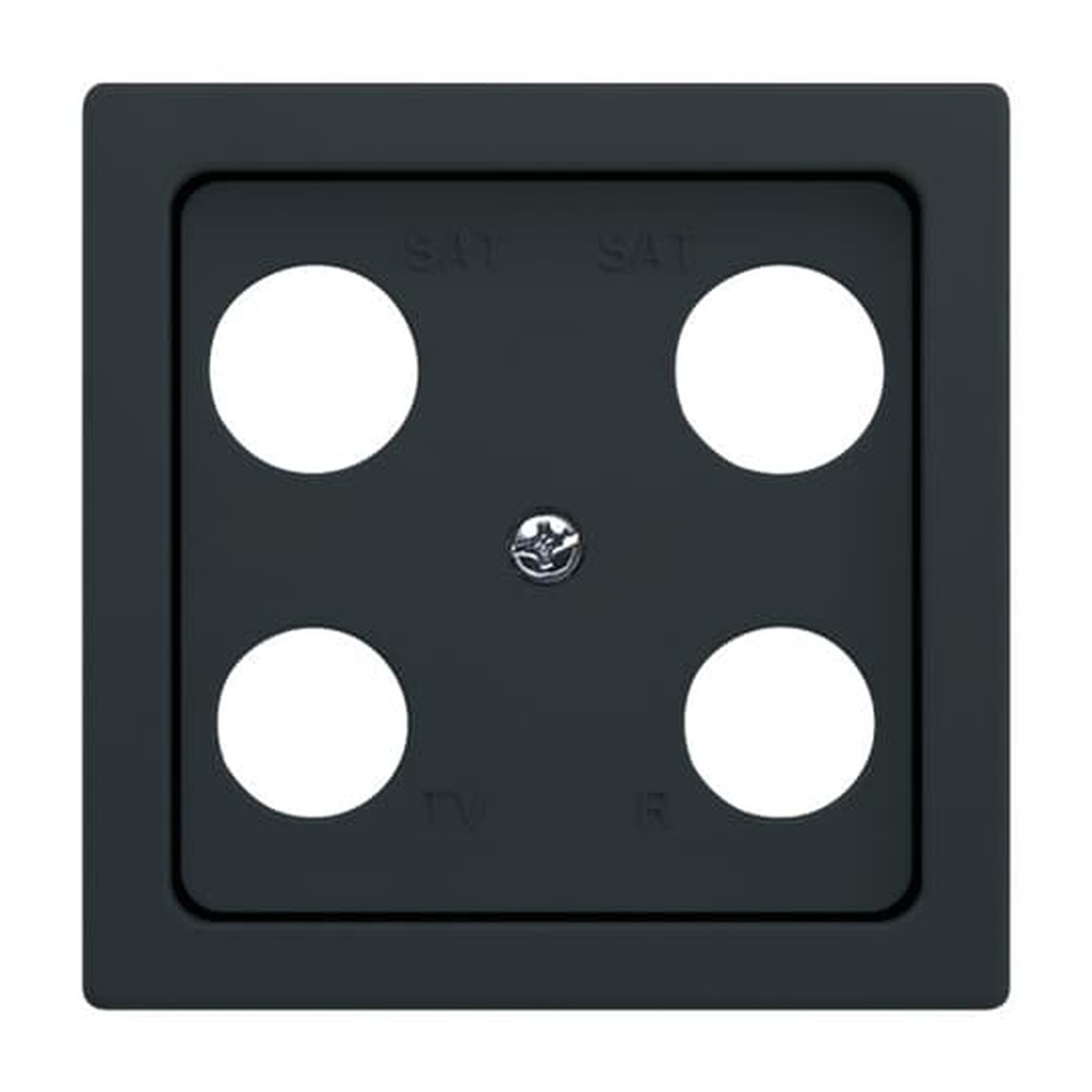 Busch-Jaeger Zentralscheibe 1743-04-81 Nr. 2CKA001724A4374