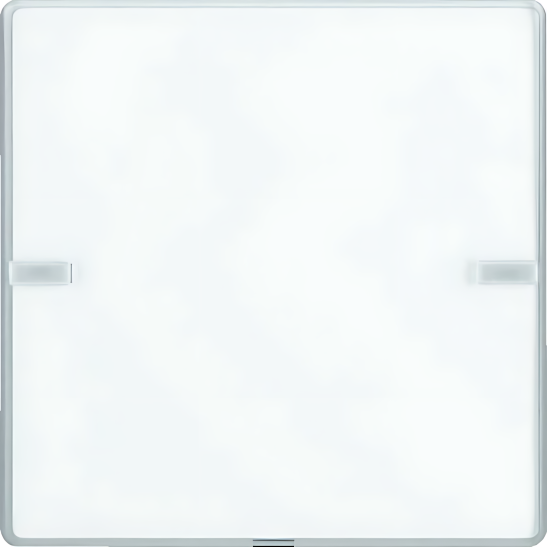 Berker Taster 80141321