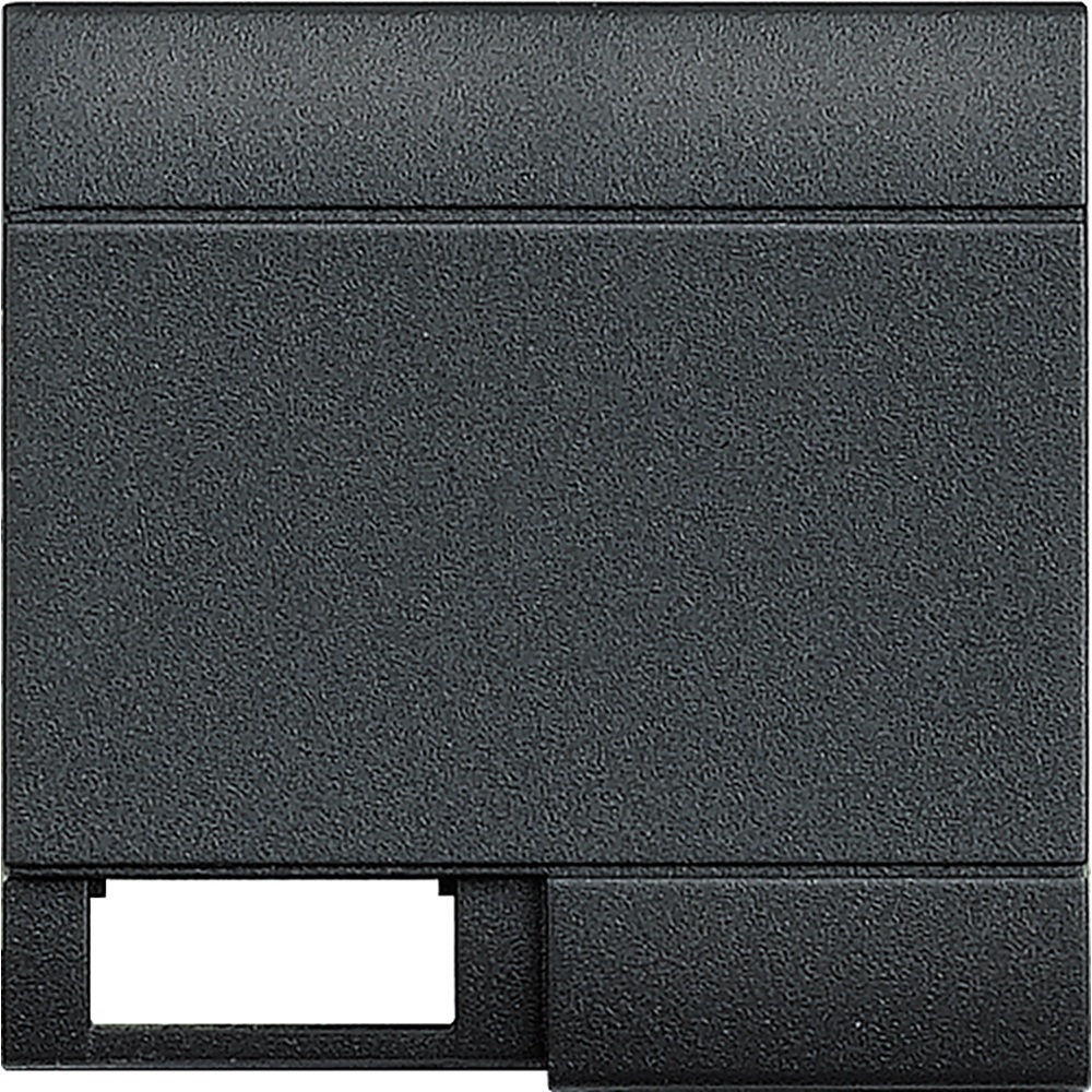 Bticino Wippe L4915M2TN