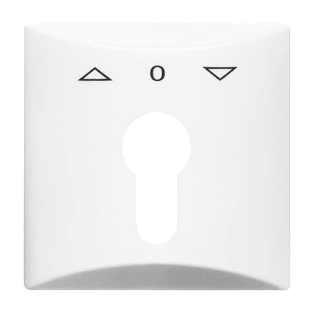 Busch-Jaeger Zentralscheibe 2155 PZ-34 Nr. 2CKA001710A1829