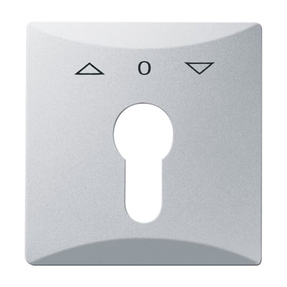 Busch-Jaeger Zentralscheibe 2155 PZ-33 Nr. 2CKA001710A3804