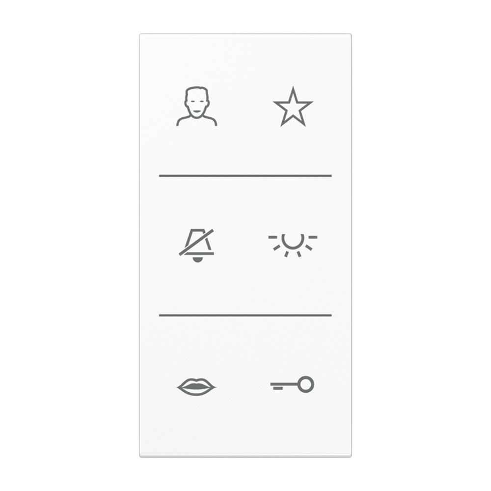 Jung Design-Cover Audio Symbole SI V6 LS DC WW