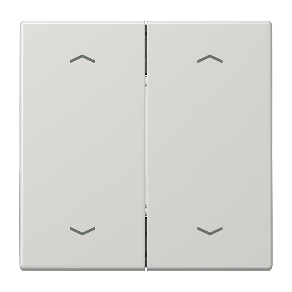 Jung EnOcean Funk Wandsender ENO LS 995 MP LG