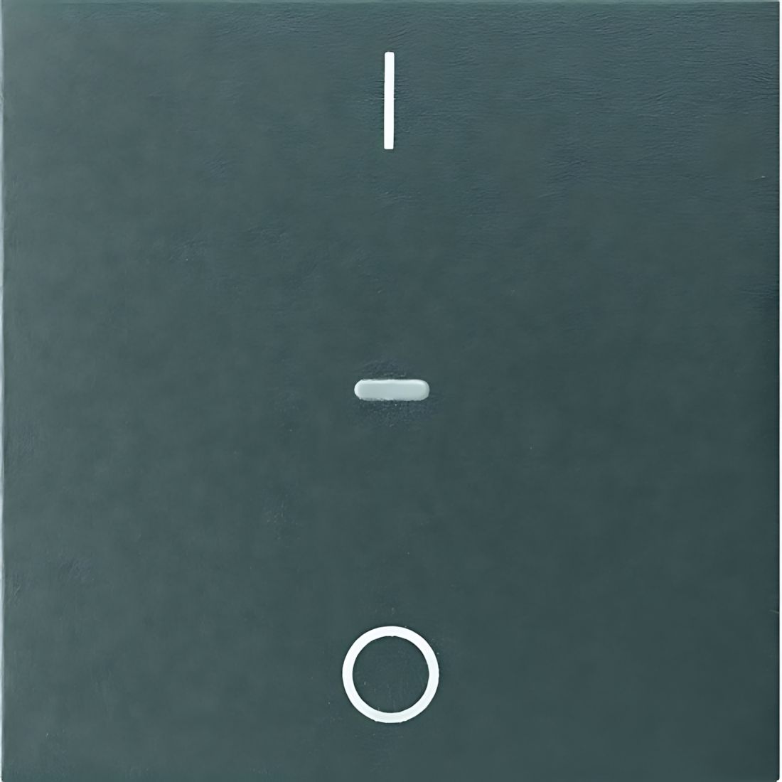 Berker Tastsensor Abdeckung 80962285