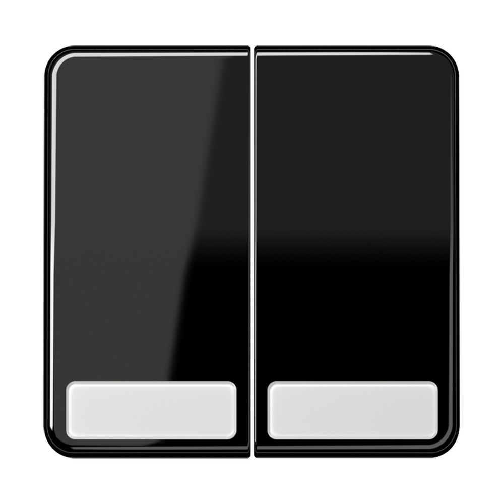 Jung Wippe CD 595 NA SW