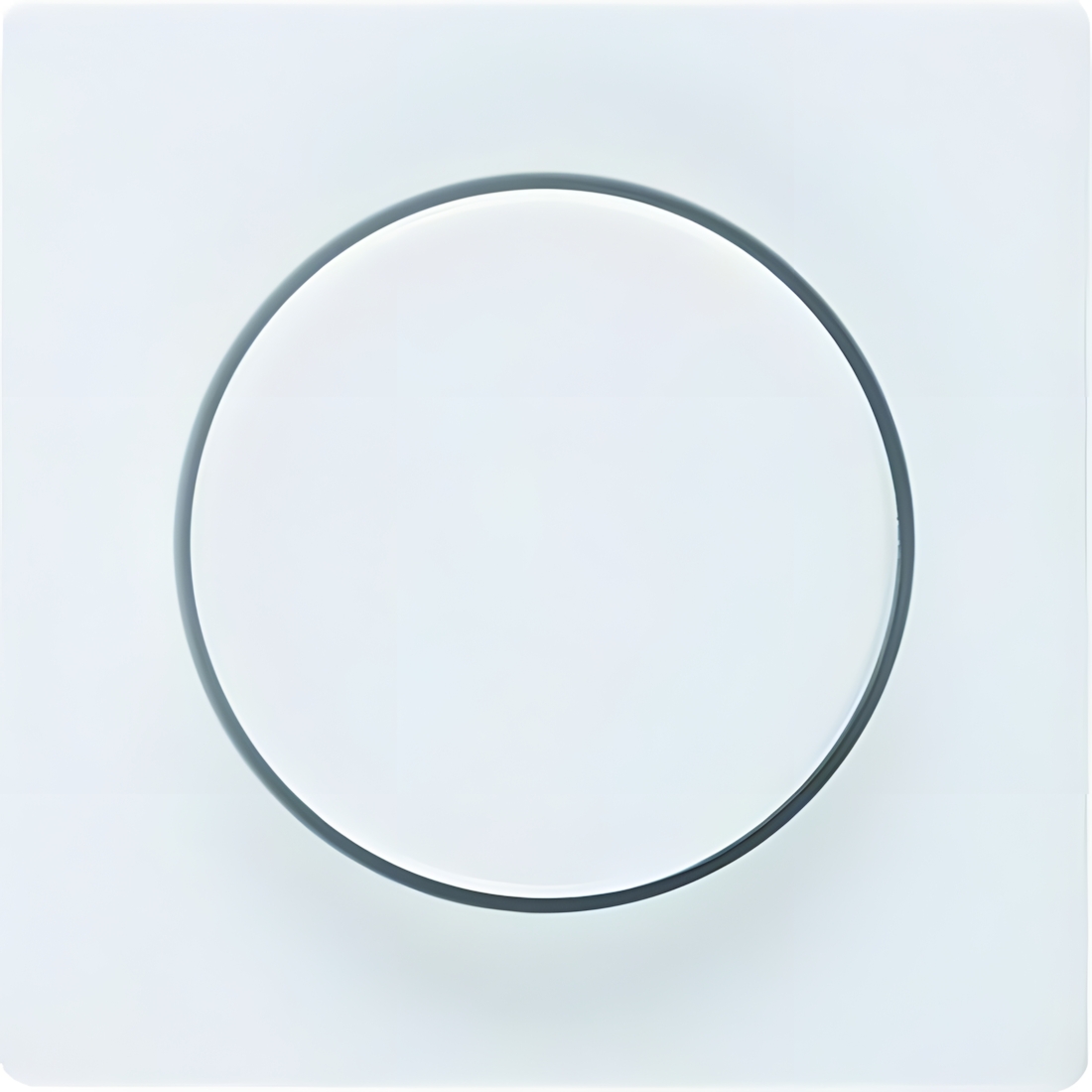 Berker Zentralstück 11376089