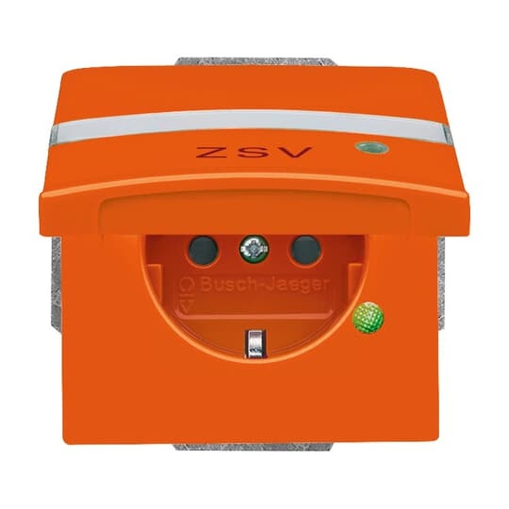 Busch-Jaeger SCHUKO Steckdosen Einsatz 20 EUGKBLN-14-101 Nr. 2CKA002064A0304