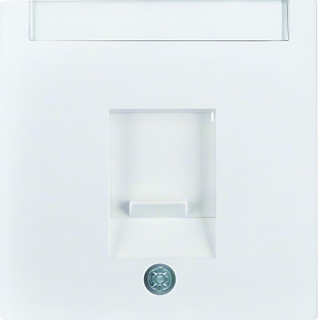 Berker Zentralstück 11708989