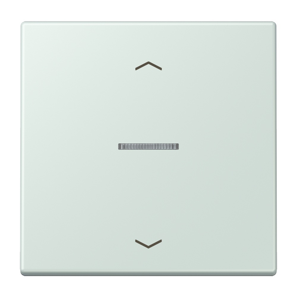 Jung Wippe mit Lichtleiter LC101KO5P215