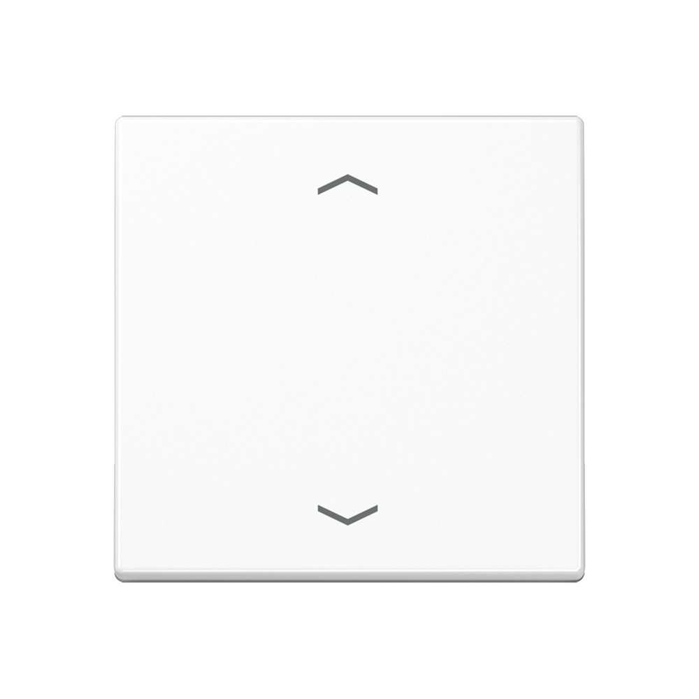 Jung Steuertaste A1700BFPWW