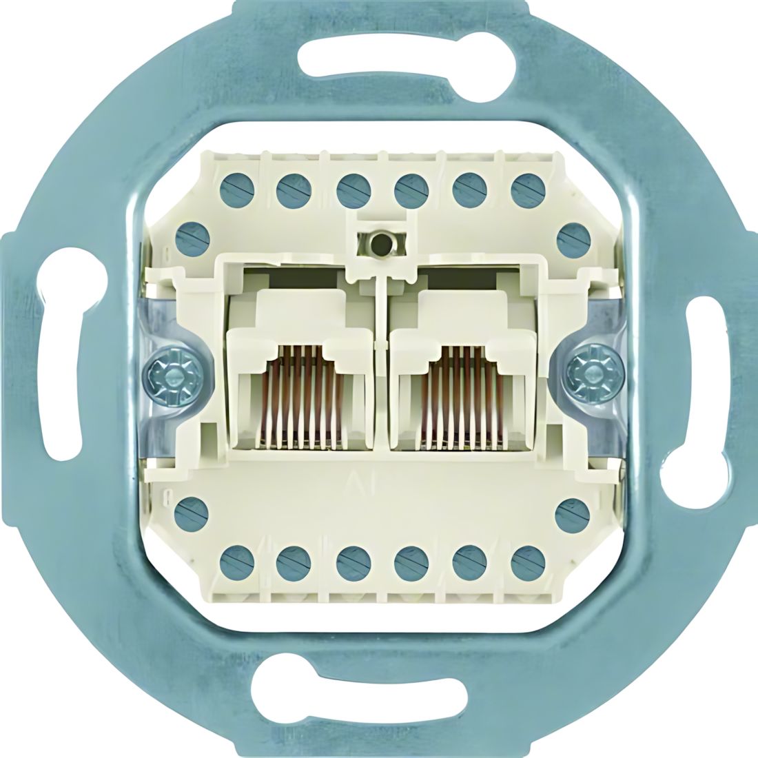 Berker UAE Steckdose 4539