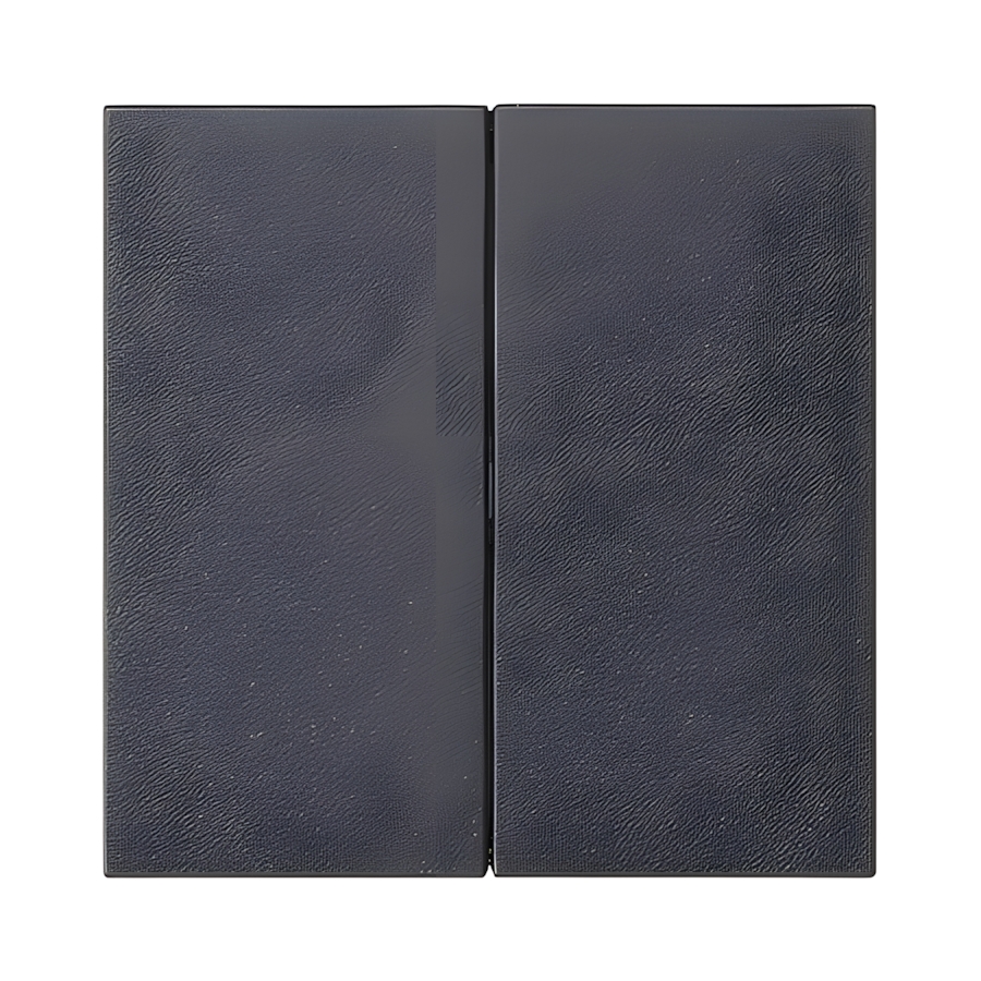 Gira Bedienaufsatz 2fach 536228