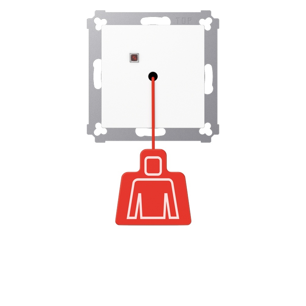 Jung Zugtaster NRS AS 0834 ZT WW