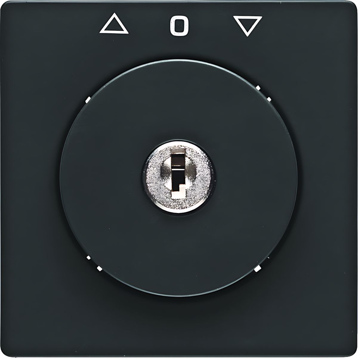 Berker Zentralstück m. Schloss 1081608600