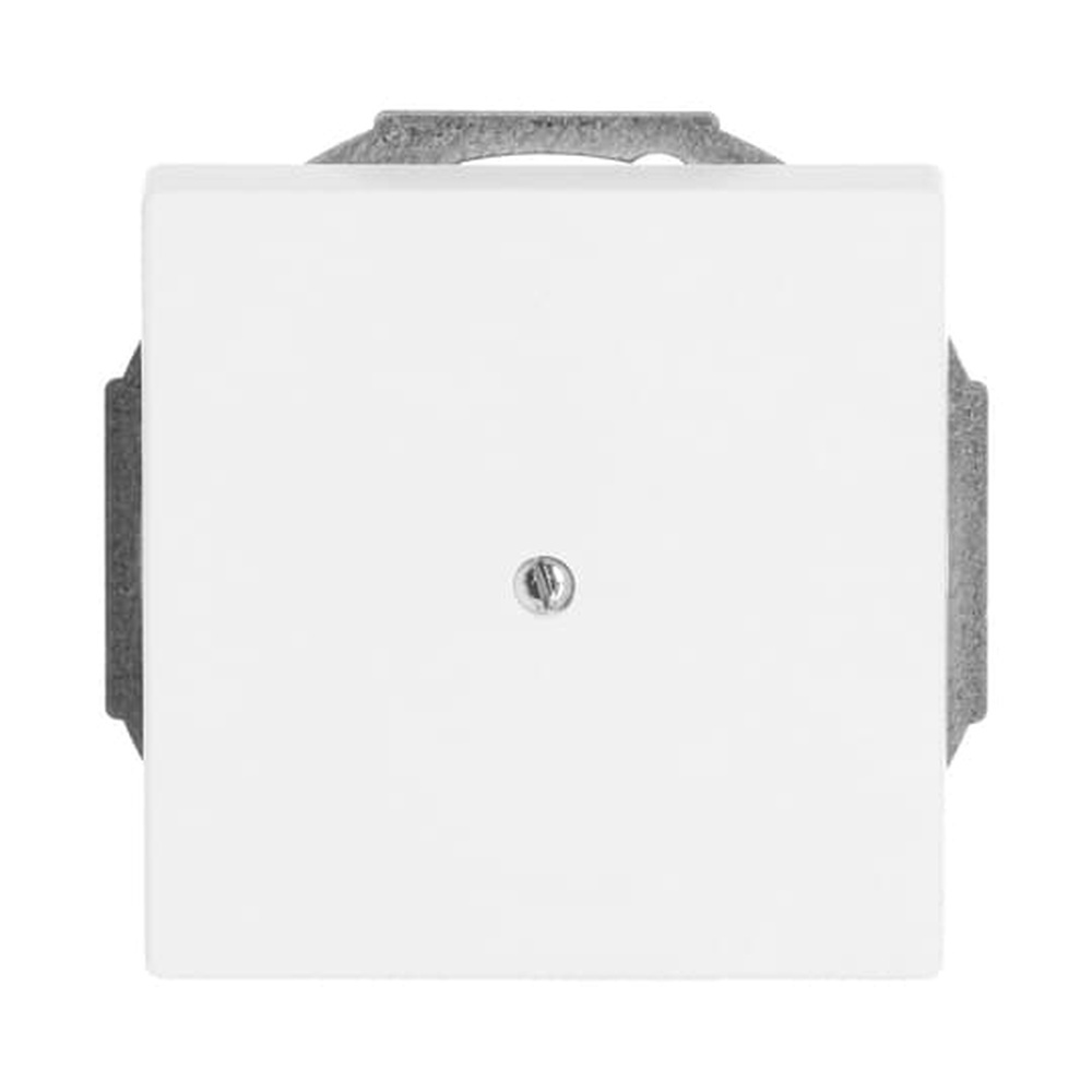 Busch-Jaeger Zentralscheibe 1749-884 Nr. 2CKA001710A3878