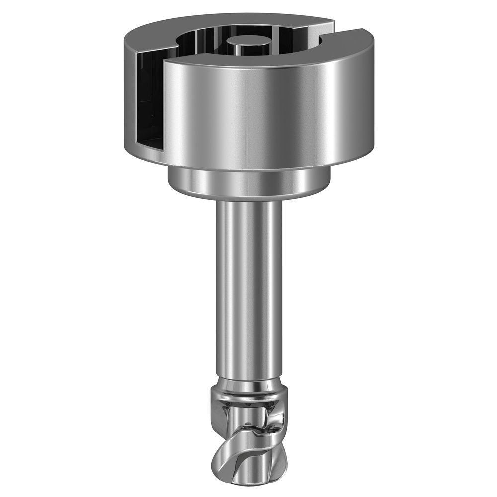 Schneider Electric Doppelbart Schraube NSYAEDSBSB