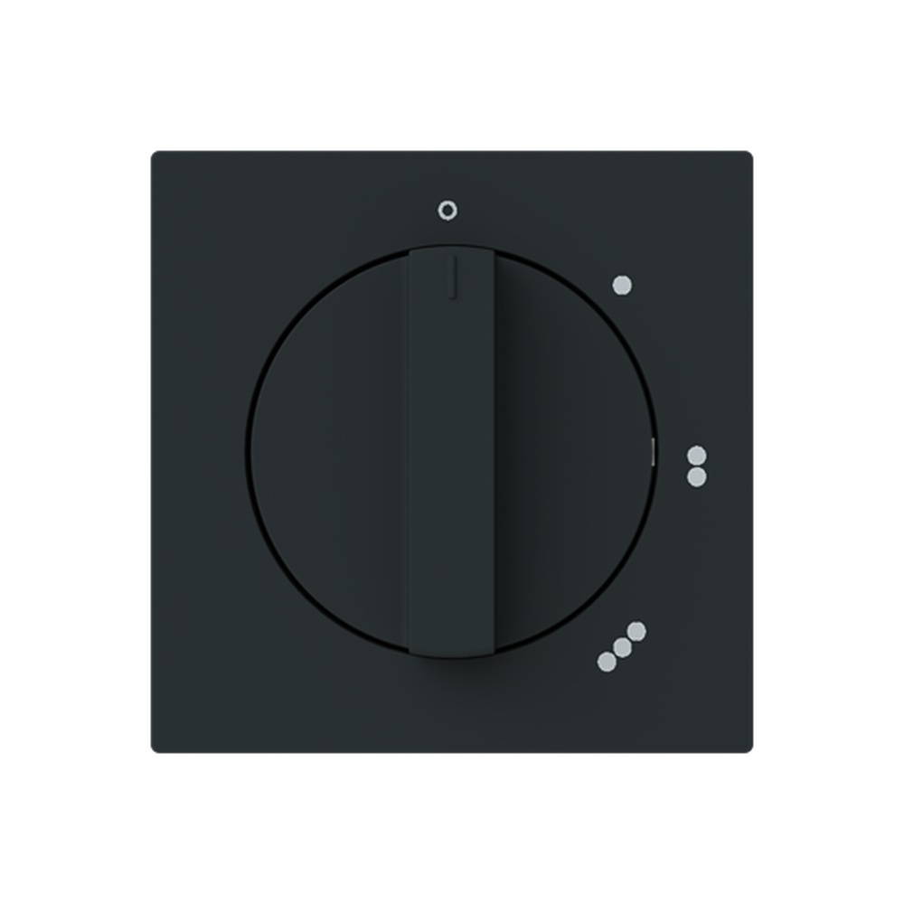 Busch-Jäger Zentralscheibe 2542 DR/01-45M Nr. 2CKA001710A4152