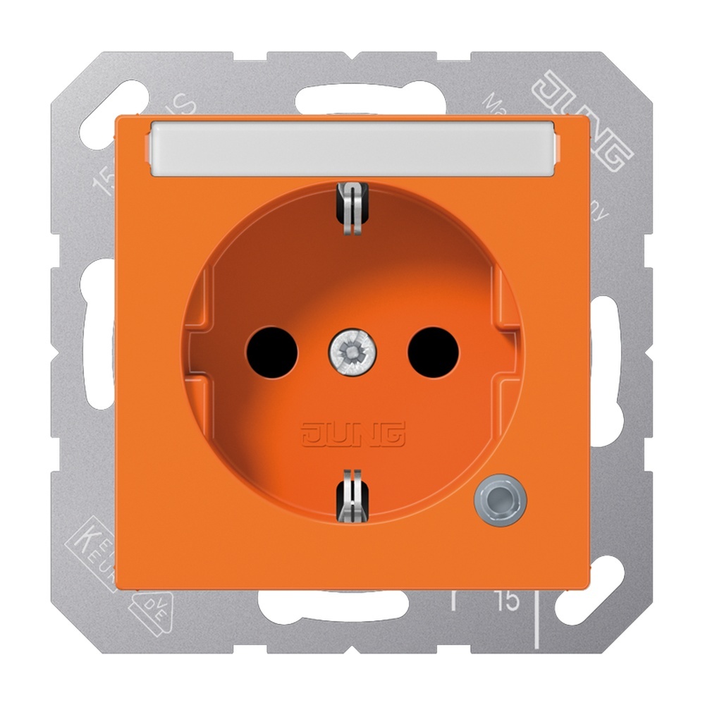 Jung Schutzkontakt Steckdose A 1520 BFNAKO O