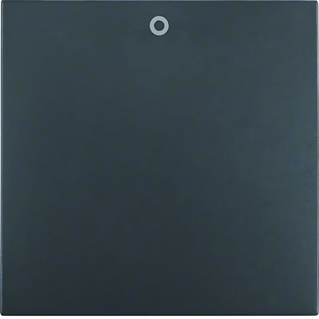 Berker Wippe 16221606