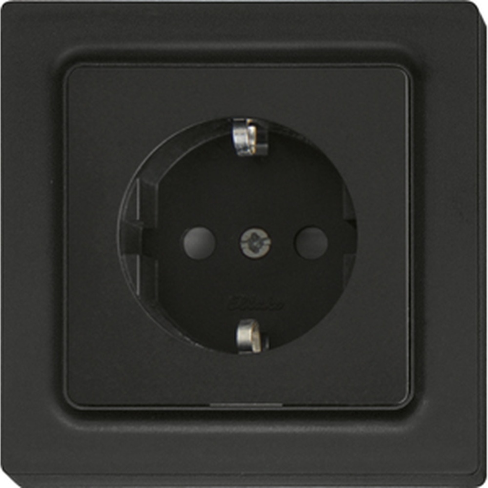 ELTAKO Schutzkontakt Steckdose 30055898 Typ DSS55E-am