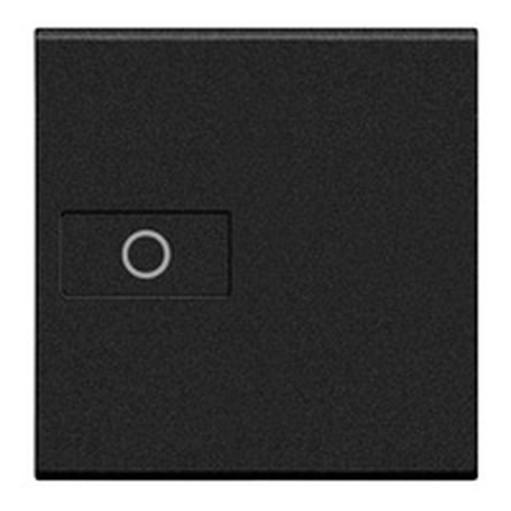 Bticino Wippe L4916M2A