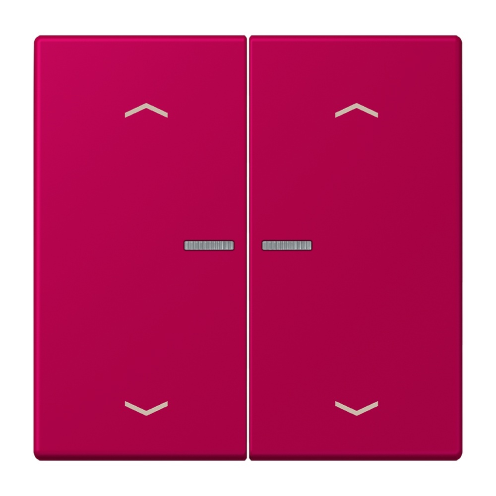 Jung Wippe mit Lichtleiter LC102KO5P230