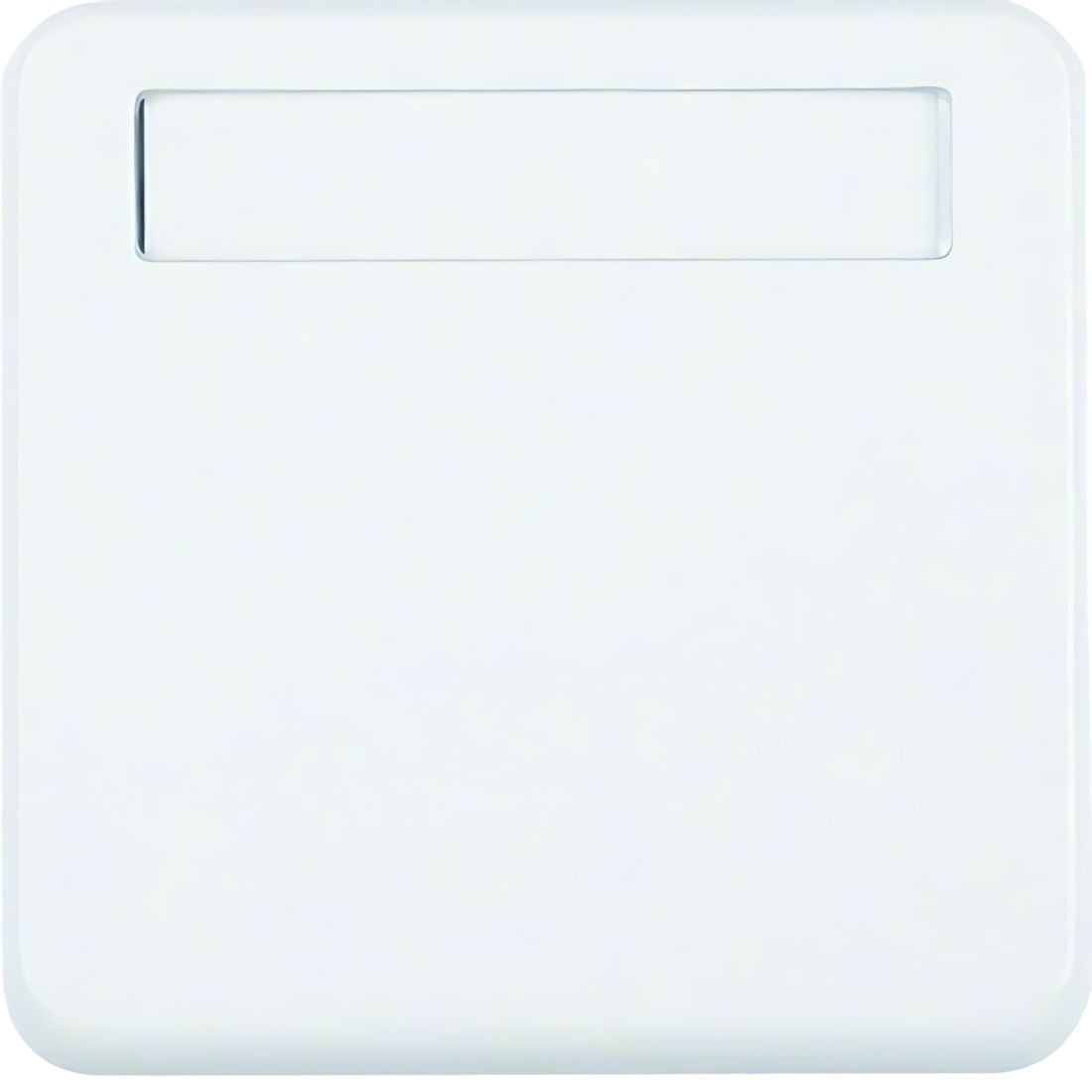 Berker Zwischenring 102259