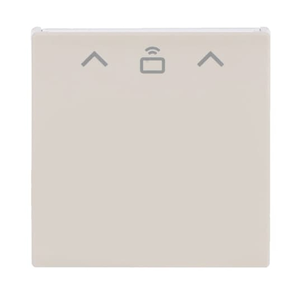 Busch-Jaeger Zentralscheibe Cardschalter 1792 RFID-82 Nr. 2CKA001710A4132