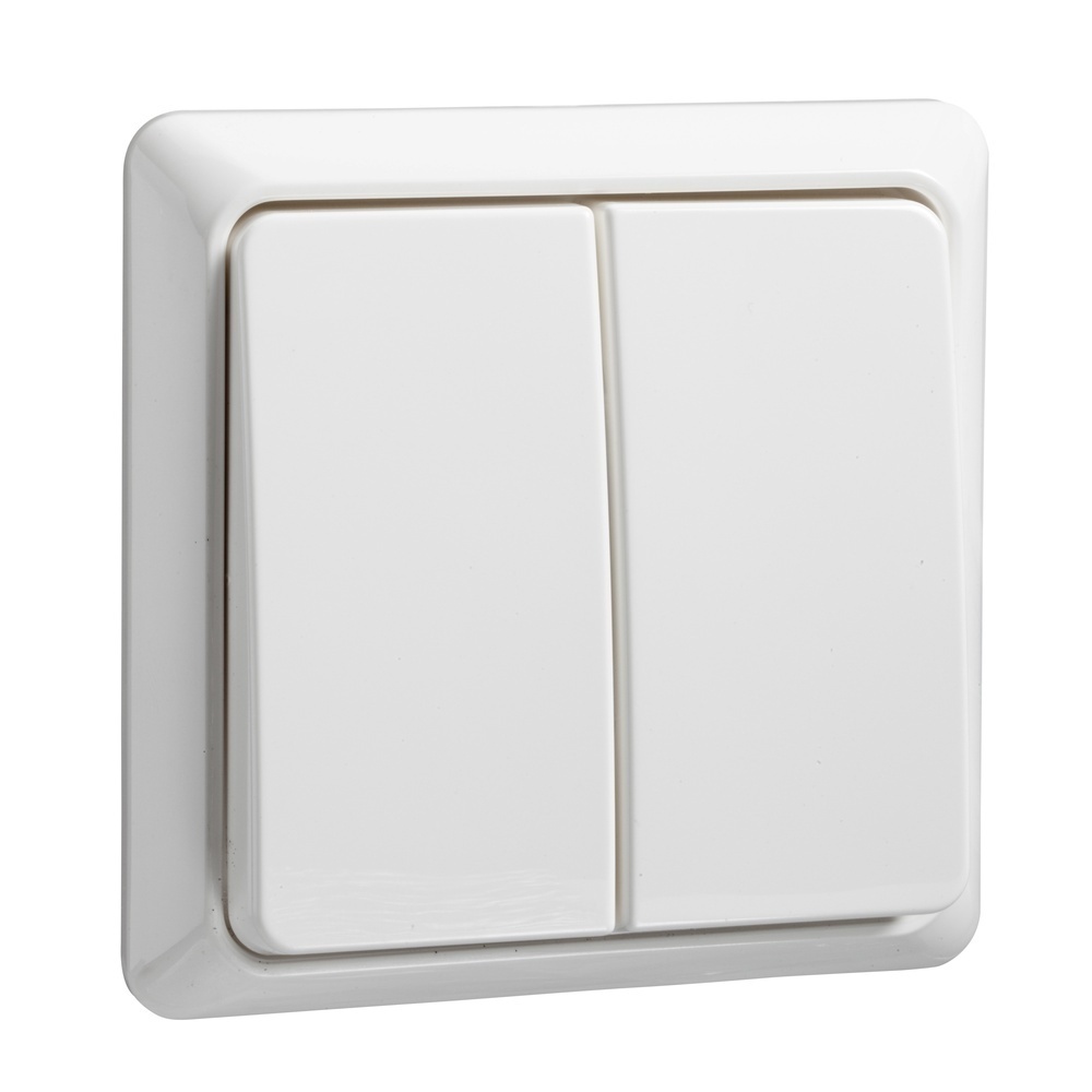 Elso Serienschalter 501504