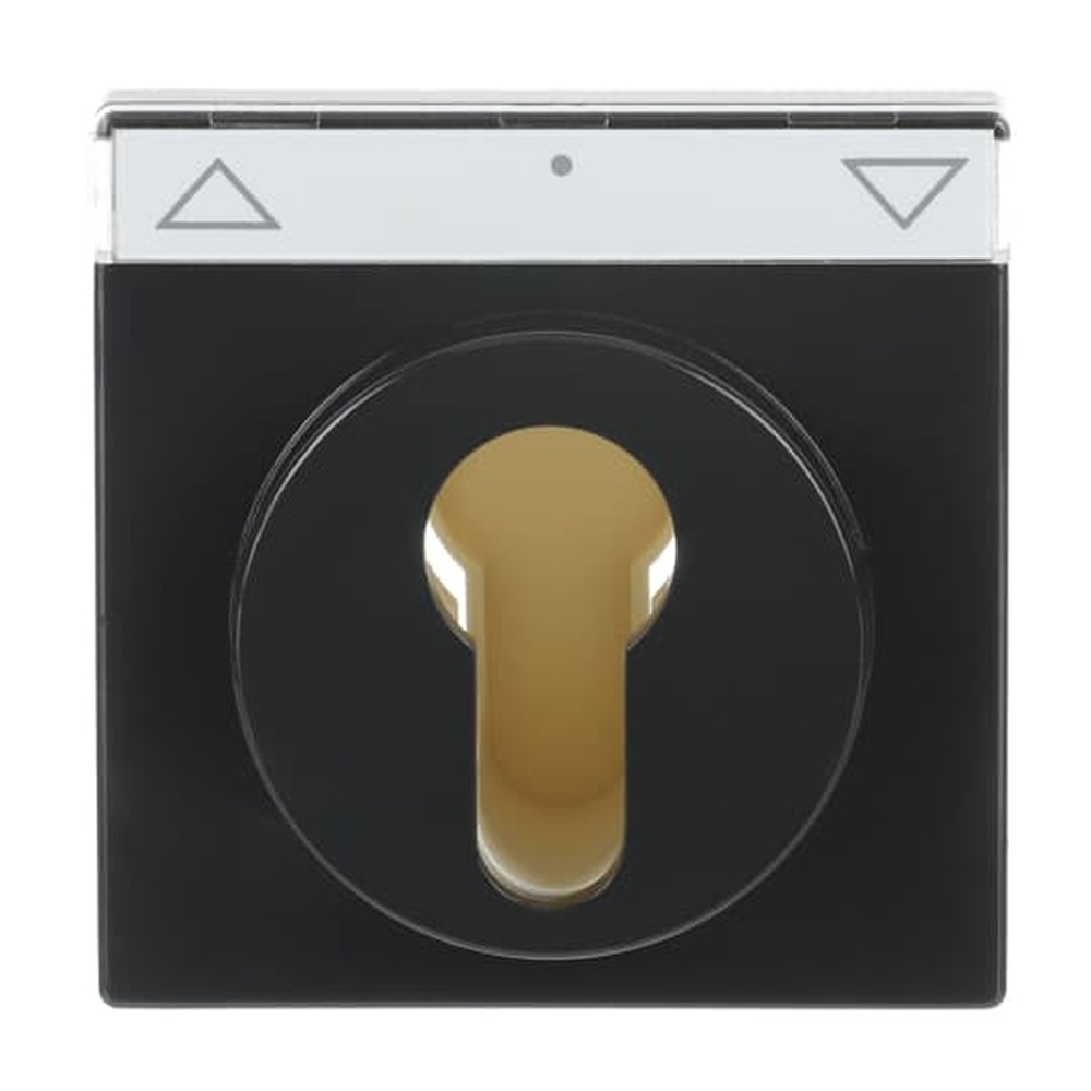 Busch-Jaeger Zentralscheibe 1755 SL/PZ-81-101 Nr. 2CKA001710A3626