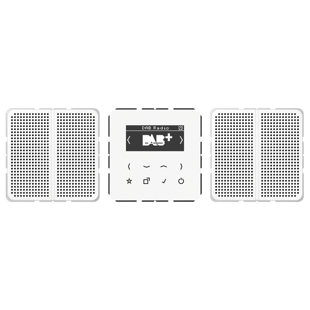 Jung Smart Radio DAB+ DABCD2WW