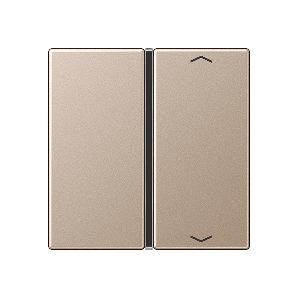 Jung Taste 1fach A 401 TSAP CH