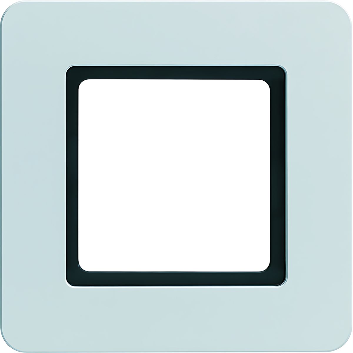 Berker Rahmen 1fach 10116174