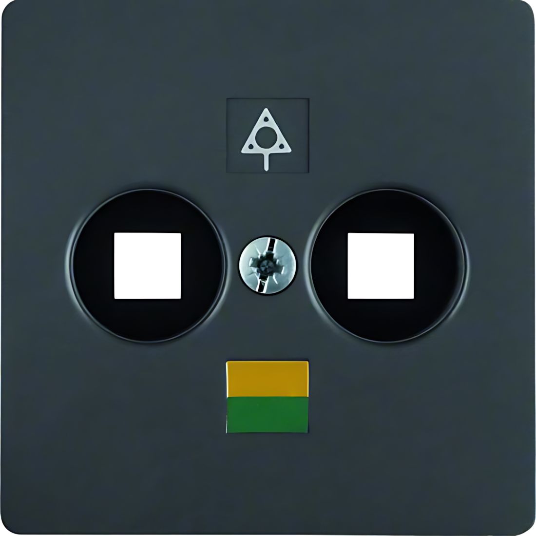 Berker Zentralplatte 14031606