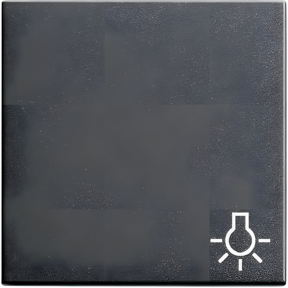 Gira Wippe Symbol Licht 028528