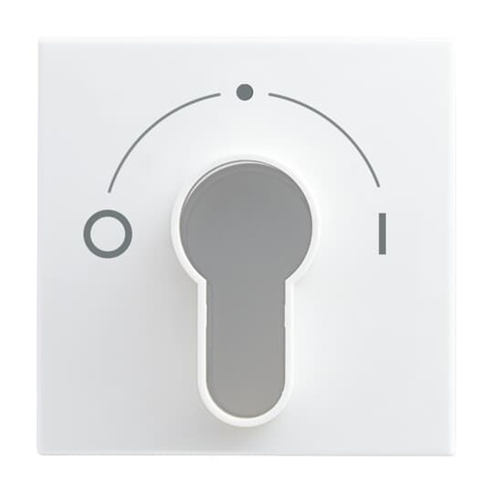 Busch-Jaeger Zentralscheibe 2557 SLPZ-914-101 Nr. 2CKA001710A4070