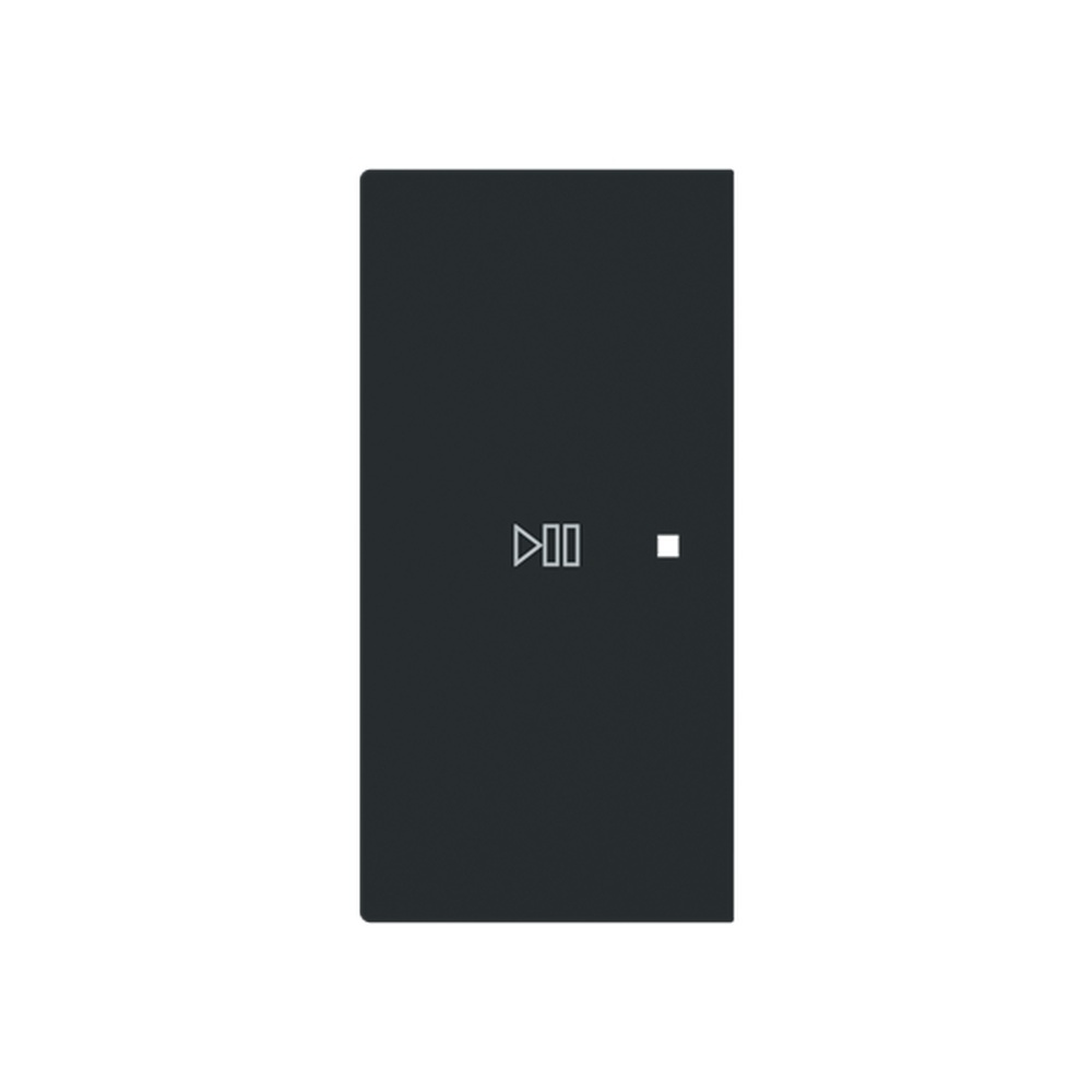 Busch-Jaeger Wippe 6237-21-45M Typ 2CKA006220A0979