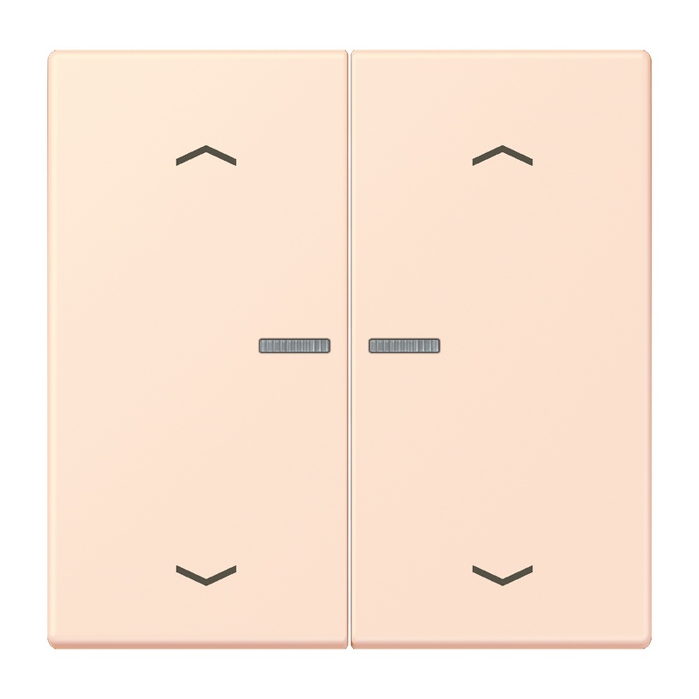 Jung Wippe mit Lichtleiter LC102KO5P226