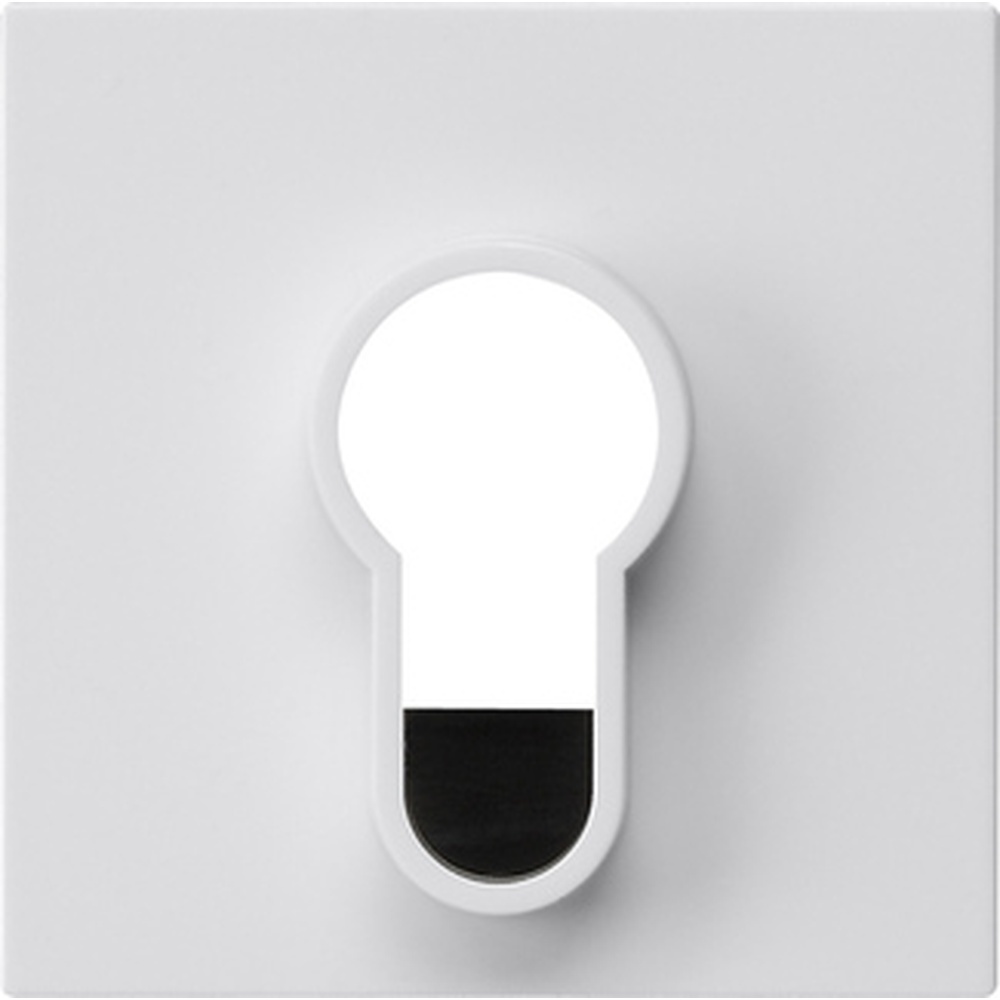 Gira Abdeckung Schlüsselschalter/-taster 866403