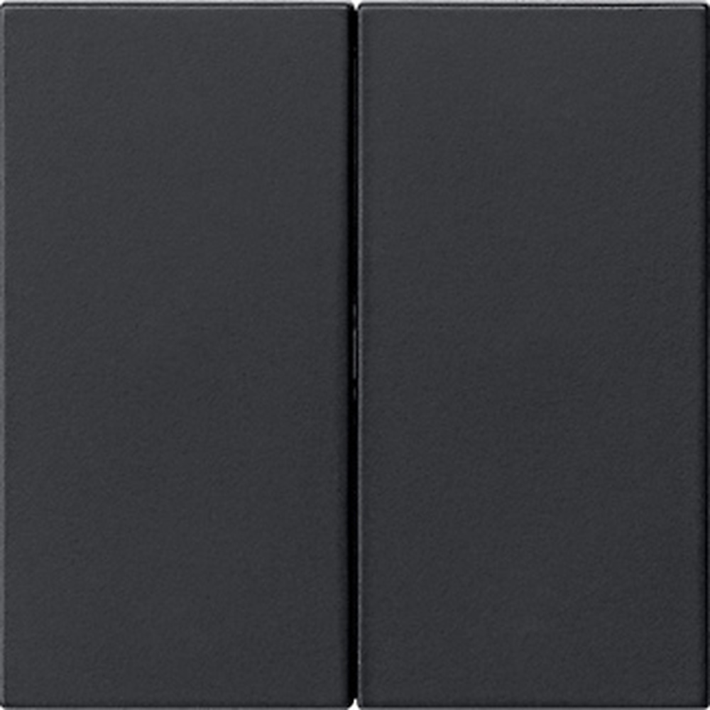 Gira Wippe 2fach 5370005