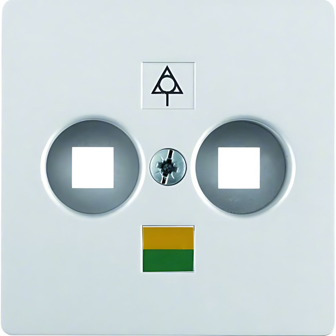 Berker Zentralplatte 14031404