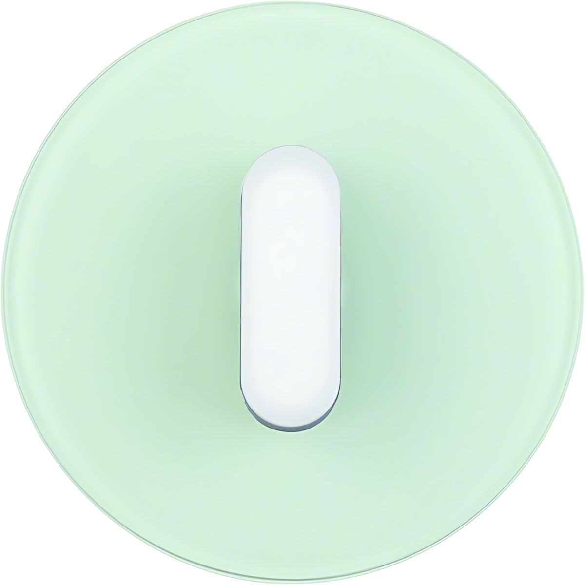 Berker Abdeckplatte 1001208300