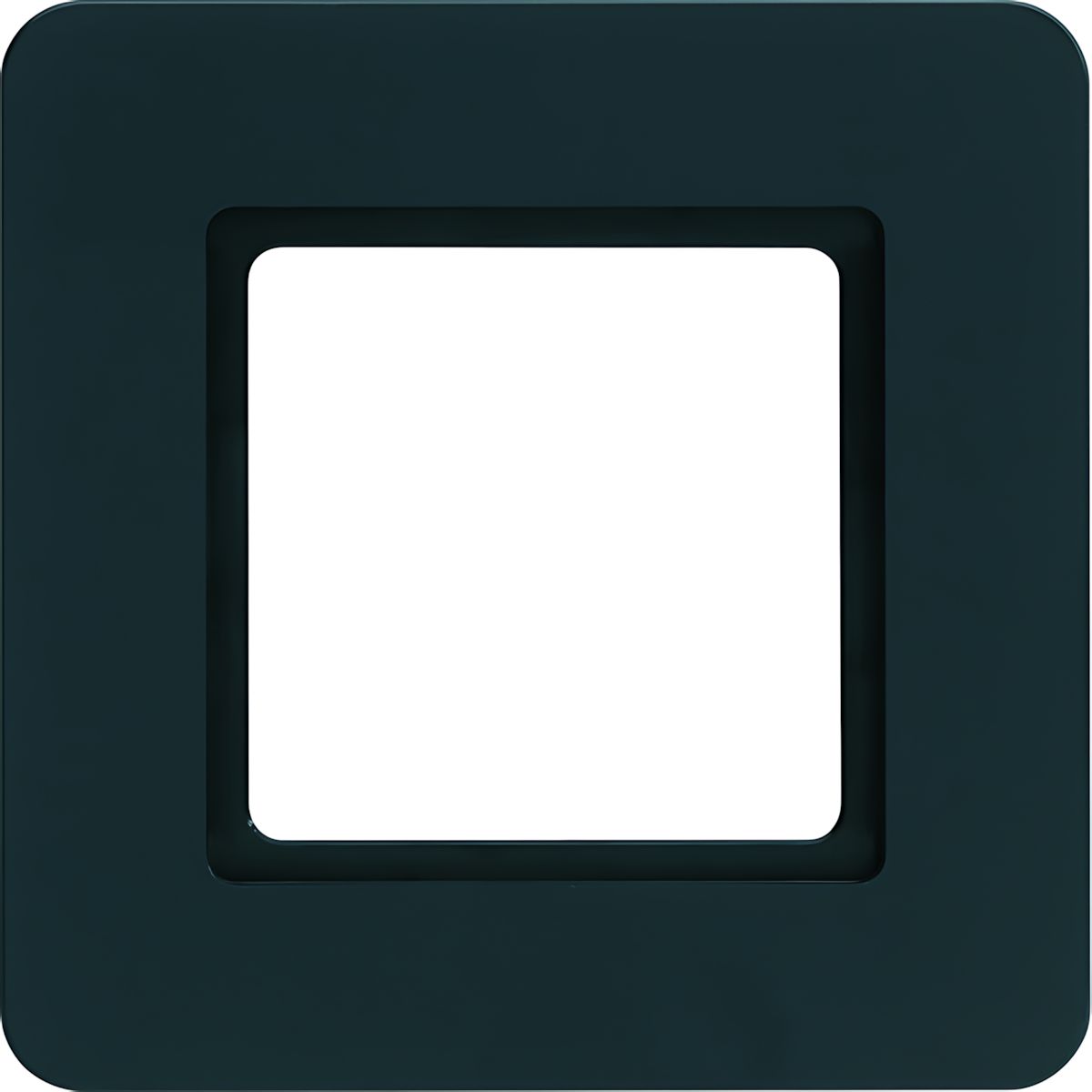 Berker Rahmen 1fach 10116106