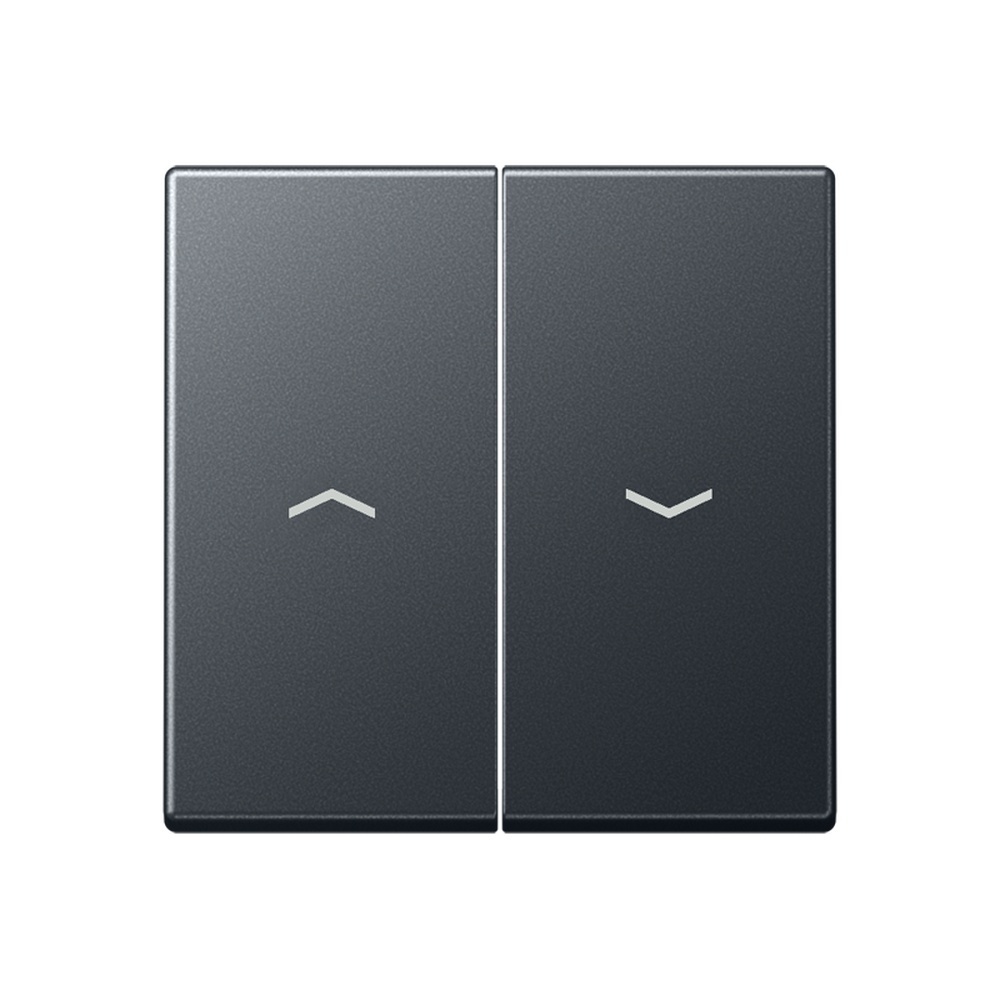 Jung Wippe A 595 BF P ANM