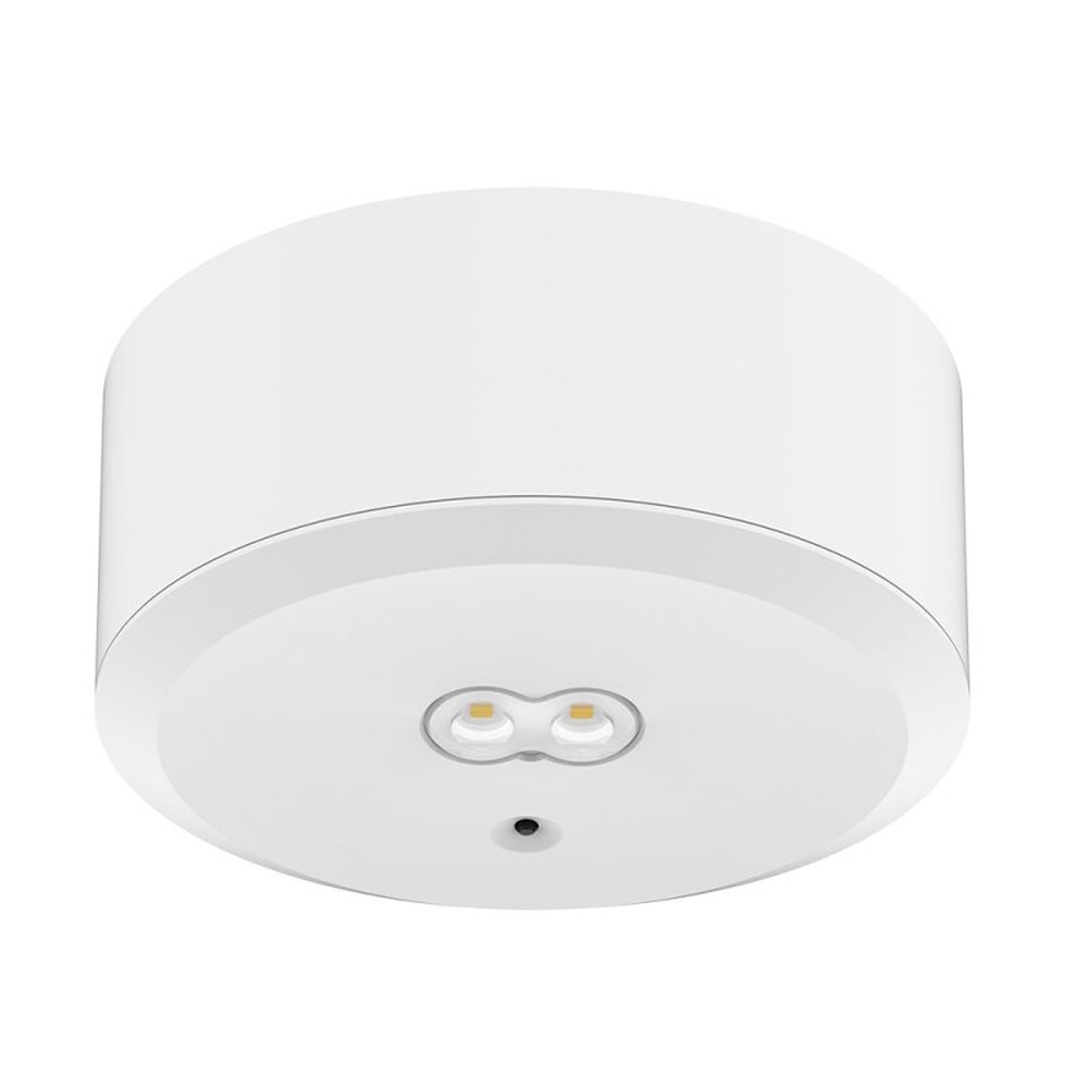 Dotlux LED Sicherheitsleuchte 5098