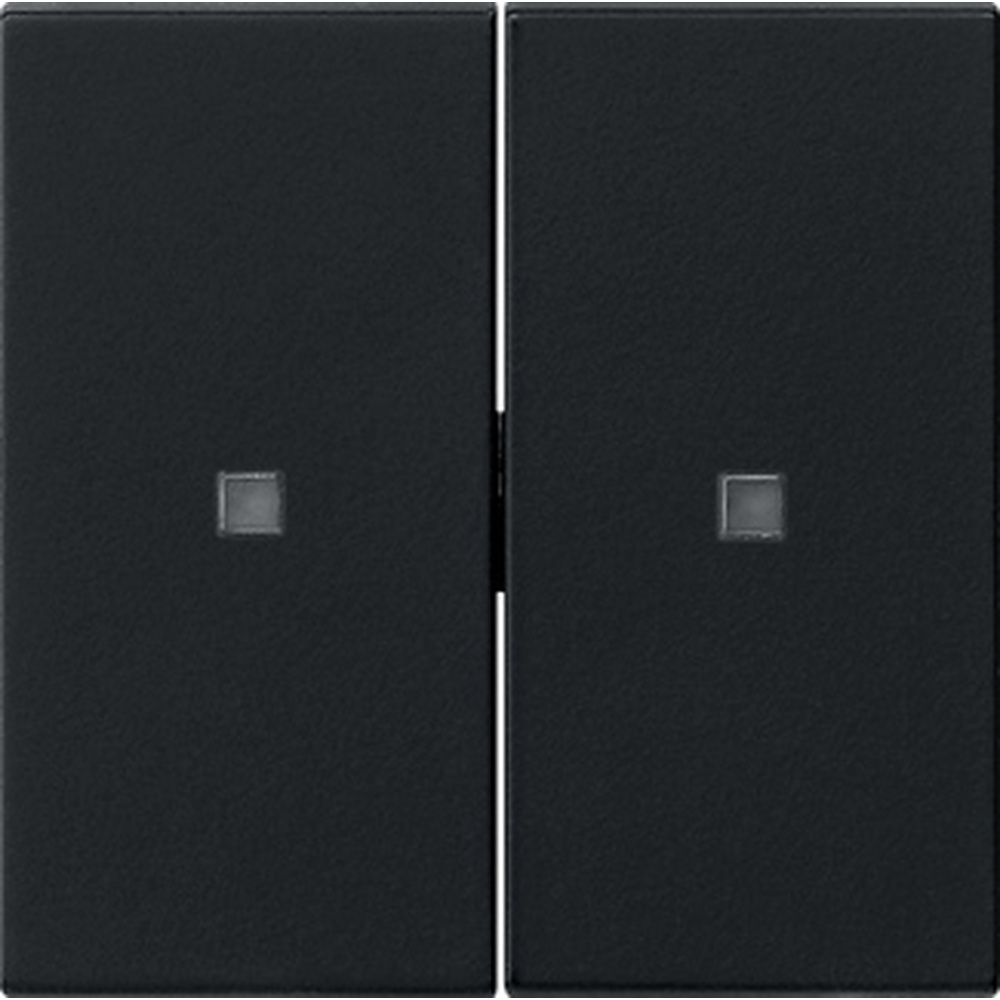 Gira Wippe 2fach 5369005